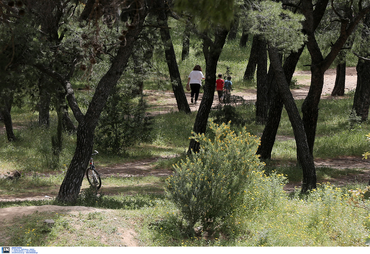 Μαγκουφάνα: Η περιοχή της Αττικής που σήμερα είναι ένα όμορφο προάστιο