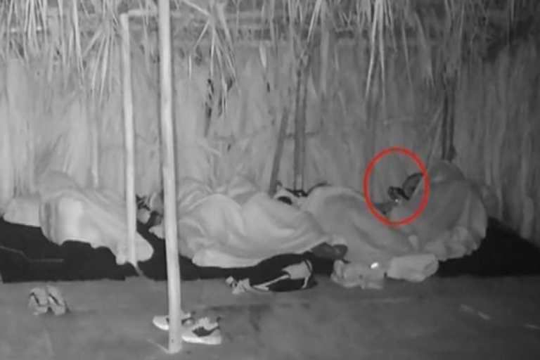 Survivor: Επεισοδιακή νύχτα για τον Απόστολο Ρουβά – Ποντίκι έπεσε πάνω στο πρόσωπο του 