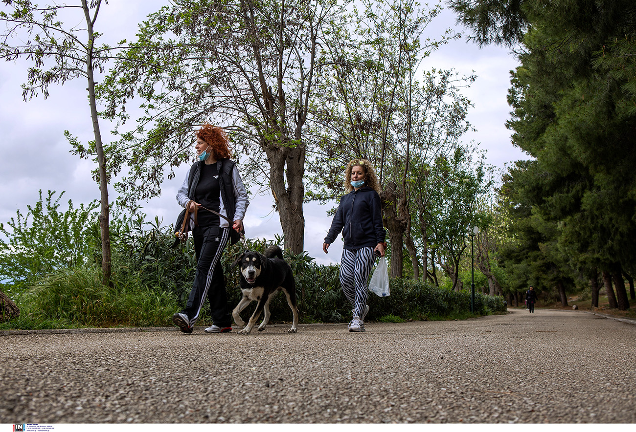 Πάρκα στην Αττική: Τέσσερις προτάσεις για βόλτα, πικ νικ, γυμναστική