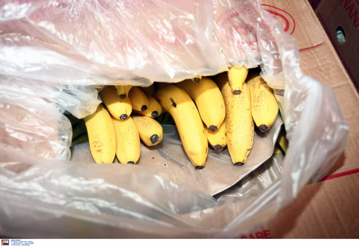 Ιταλία: Μετέφεραν 2.700 κιλά κοκαΐνης μέσα σε ψυγεία γεμάτα μπανάνες