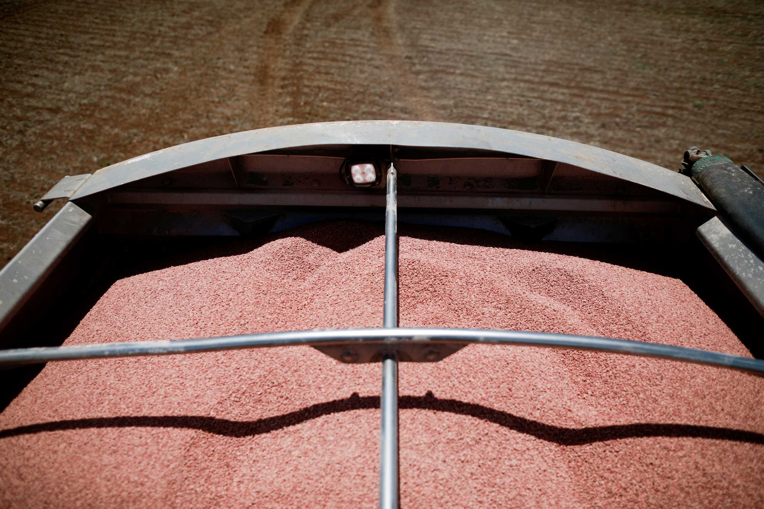 FILE PHOTO: Fertilizer is seen in a tractor as it is being spread in a soybean field, near Brasilia, Brazil February 15, 2022. REUTERS