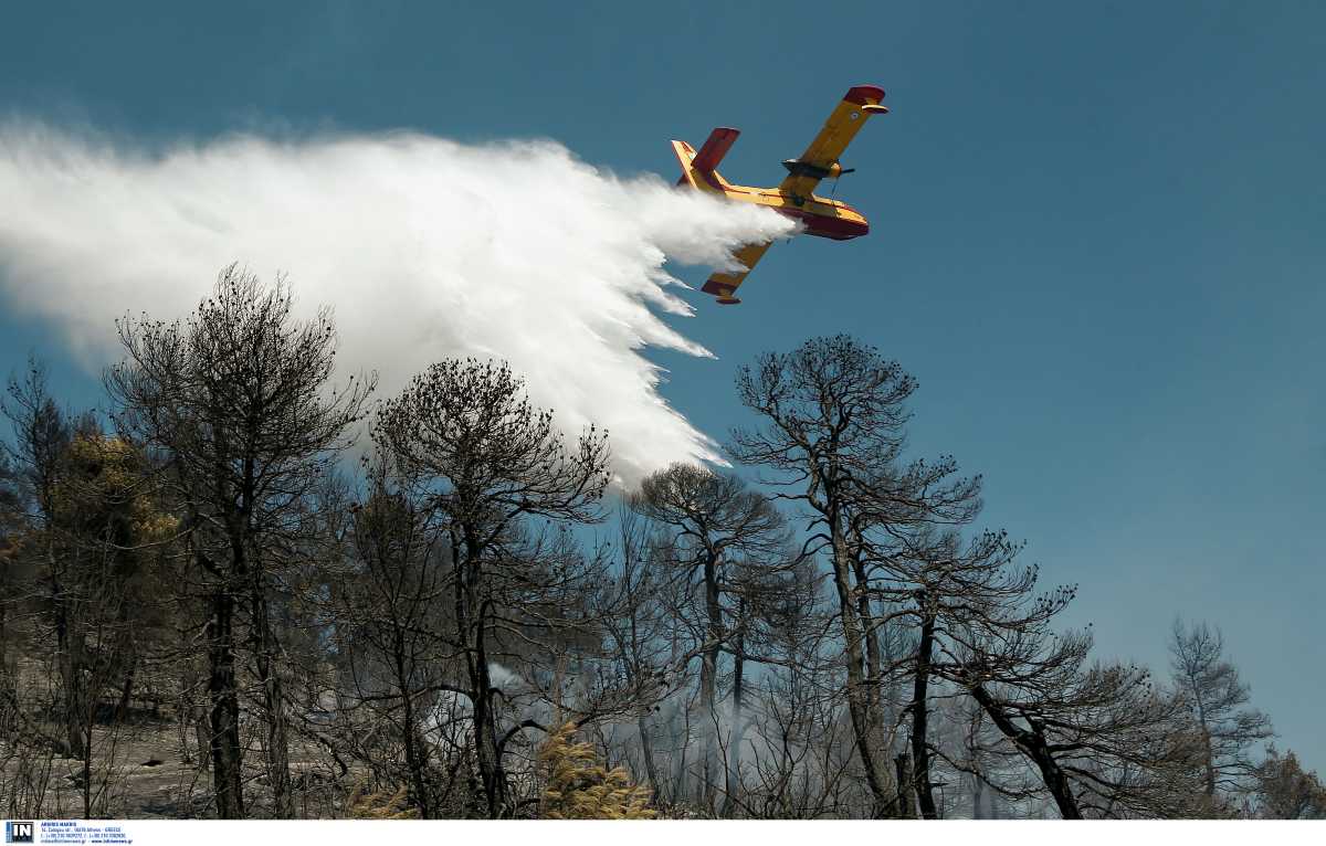 Φωτιά στην Κάρυστο – Σηκώθηκαν αεροσκάφη της πυροσβεστικής