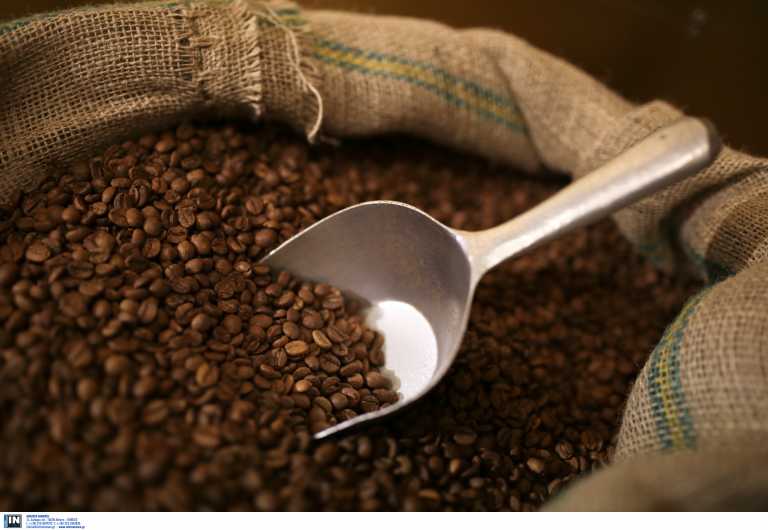 Η ΕΕ περιορίζει τις εισαγωγές καφέ, κακάο, κρέατος και άλλων προϊόντων λόγω της αποψίλωσης των δασών