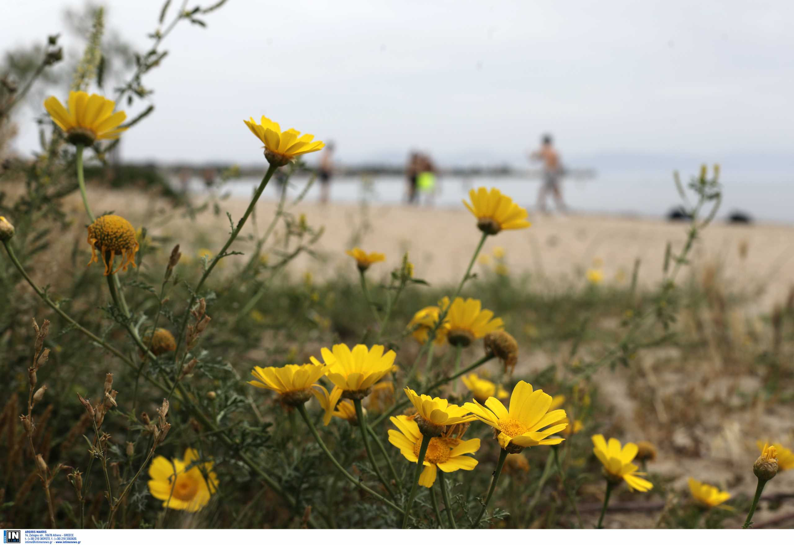 Καιρός – Meteo: Άνοδος της θερμοκρασίας την Τετάρτη 13/04