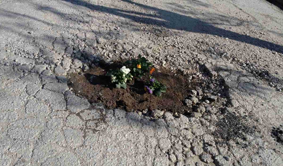 Τρίκαλα: Φύτεψαν λουλούδια στις λακκούβες του επικίνδυνου δρόμου – Πρωτοφανείς εικόνες στην περιοχή