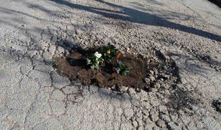 Τρίκαλα: Φύτεψαν λουλούδια στις λακκούβες του επικίνδυνου δρόμου – Πρωτοφανείς εικόνες στην περιοχή