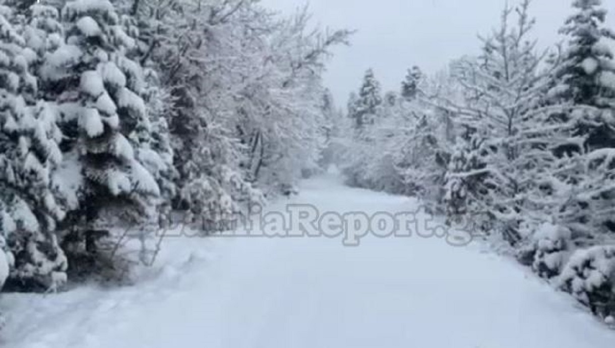 Καιρός – Φθιώτιδα: 40 πόντους χιόνι έφερε ο «Φίλιππος» στα ορεινά