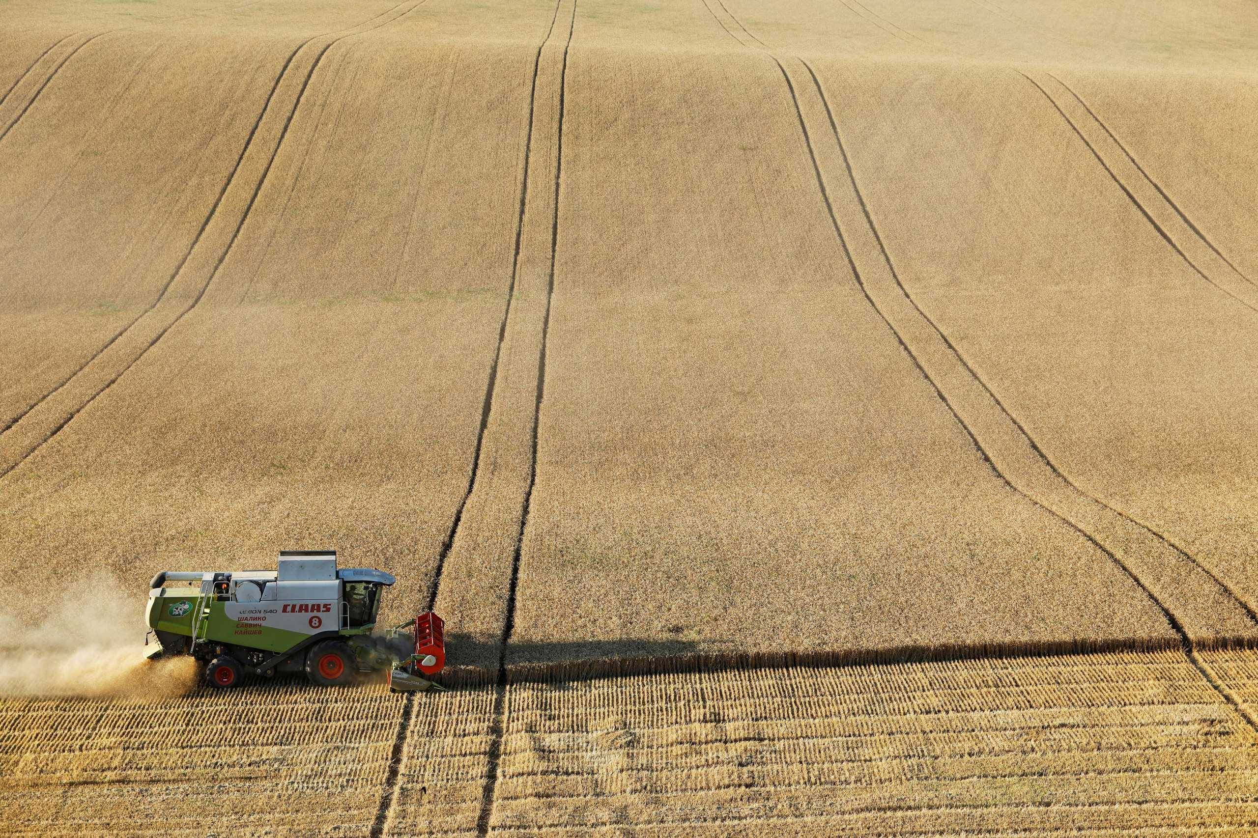 FILE PHOTO: A combine harvests wheat in a field near the village of Suvorovskaya in Stavropol Region, Russia July 17, 2021. Picture taken July 17, 2021. REUTERS