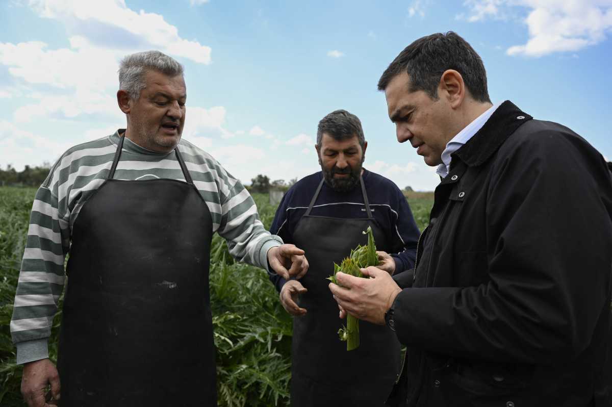 Αλέξης Τσίπρας