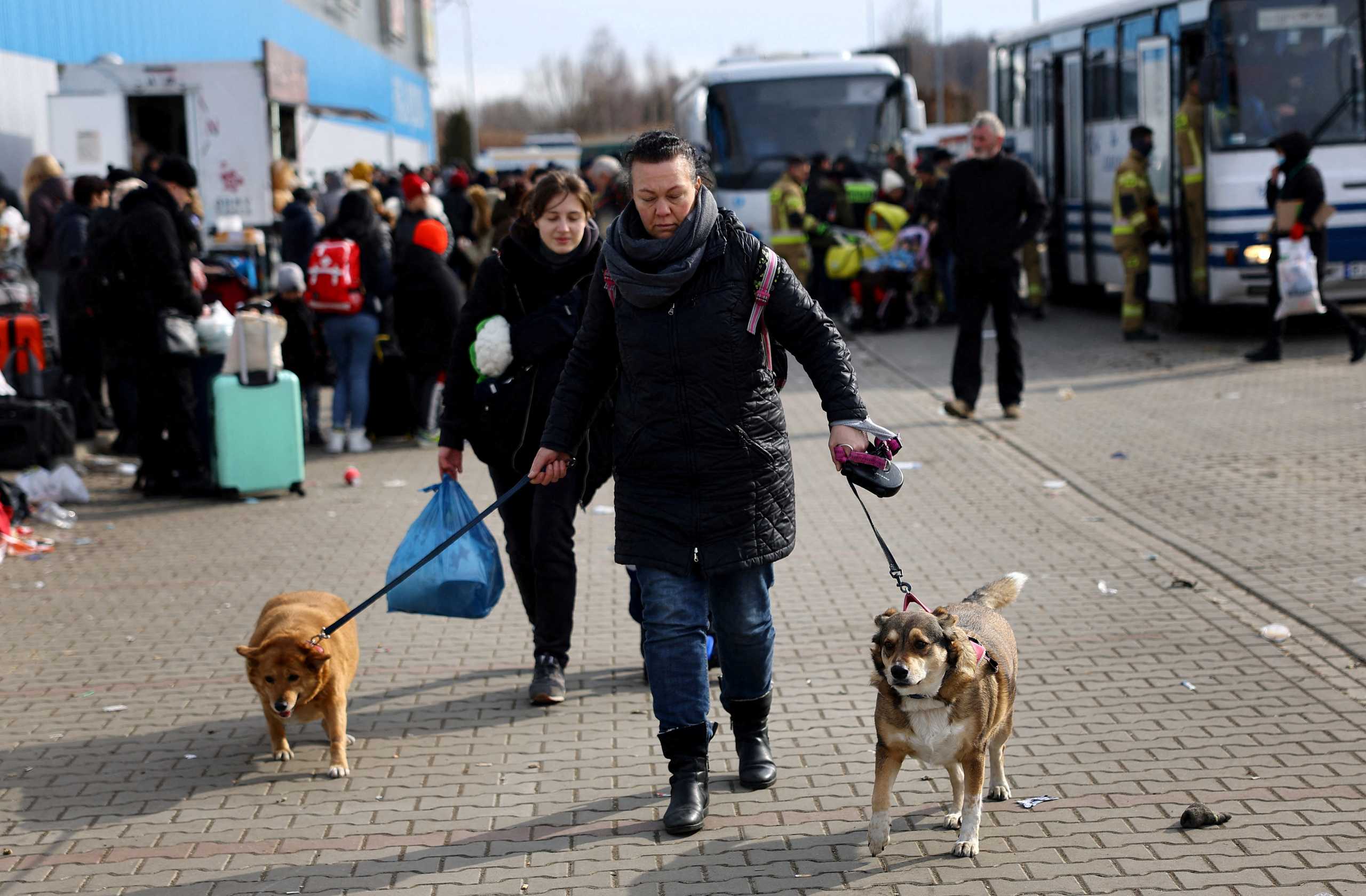 A woman holds her dogs after fleeing from Ukraine because of the Russian invasion as they arrive with a bus at the village of Moszczany near the border checkpoint at Korczowa, Poland, March 1, 2022.   REUTERS