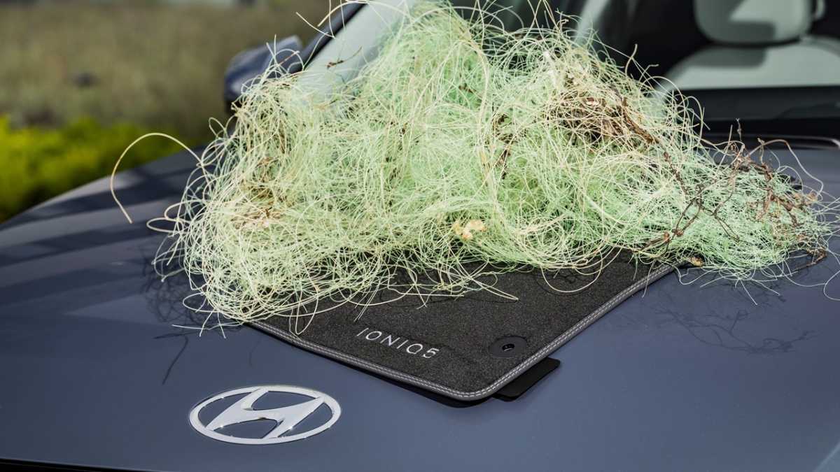 HyundaiHealthy Seas IONIQ