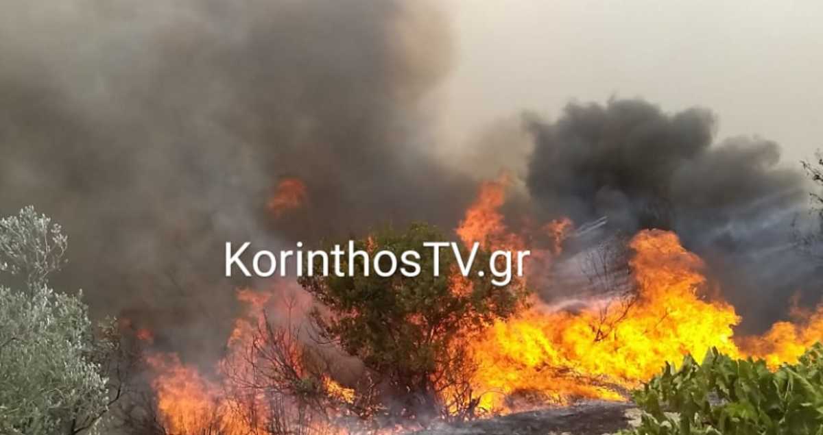 Φωτιά στην Κορινθία – Καίγεται δάσος στην περιοχή Ευρωστίνη