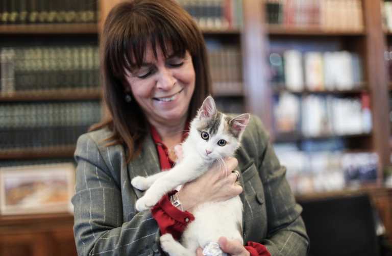 Παγκόσμια Ημέρα Αδέσποτων Ζώων: Η Κατερίνα Σακελλαροπούλου με την Καλυψώ, τη γάτα του προεδρικού μεγάρου
