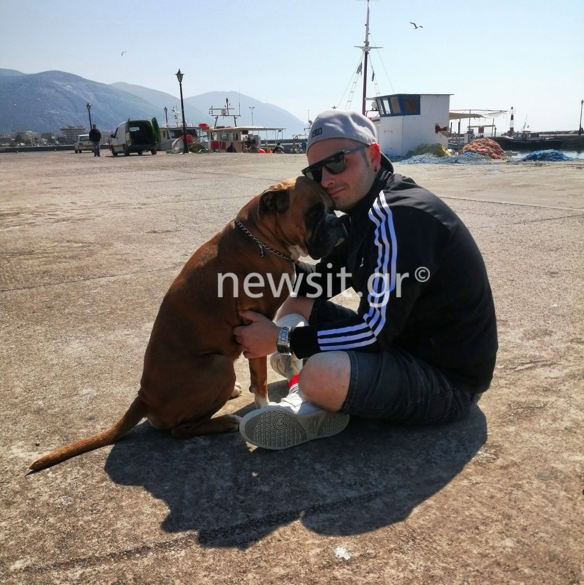 δέντρο