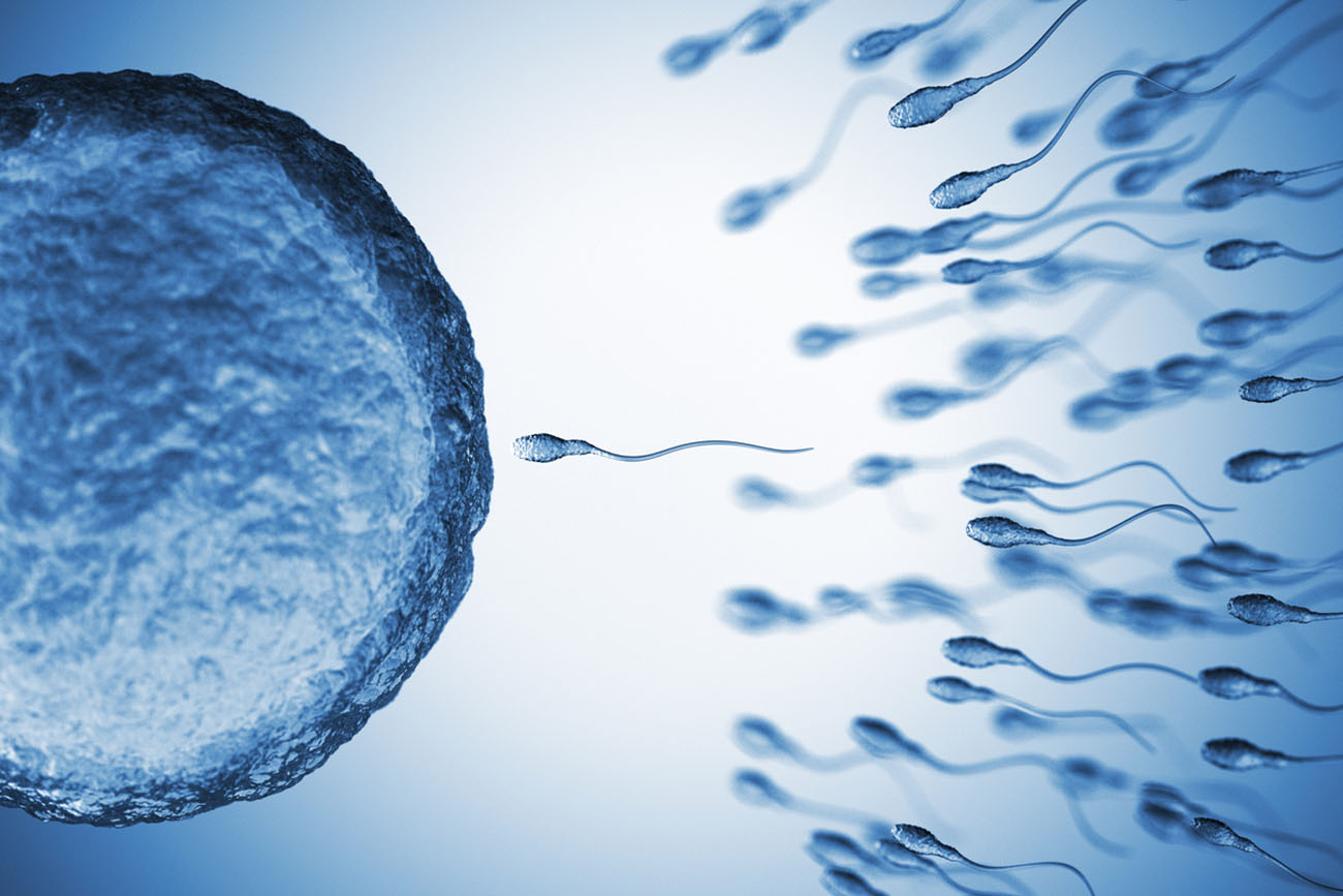 Είναι η εξωσωματική γονιμοποίηση πιο επιτυχής το καλοκαίρι;