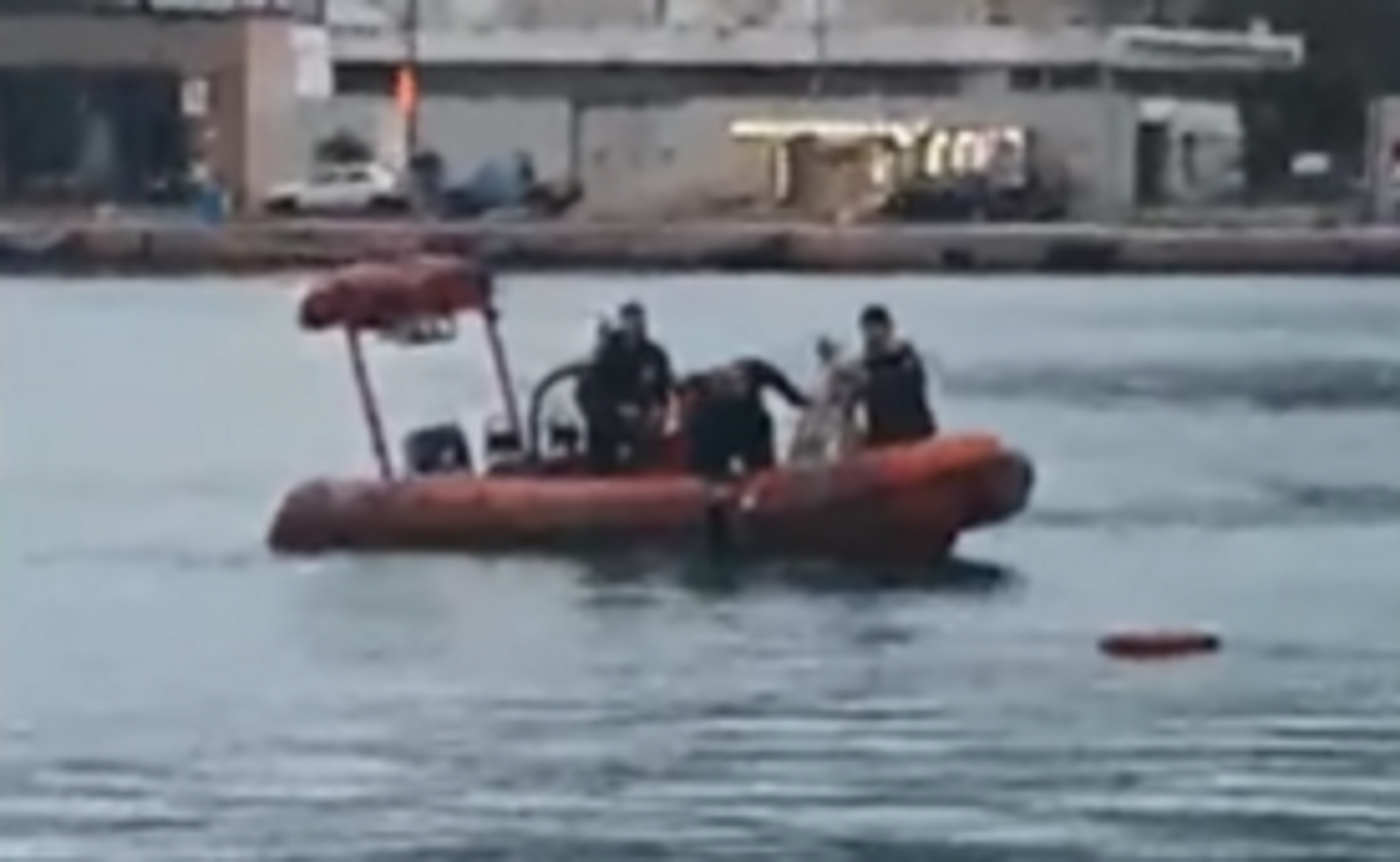 Χίος: Νεαρή λιμενικός έσωσε σκύλο που έπεσε στη θάλασσα – Βίντεο από τη διάσωση θρίλερ