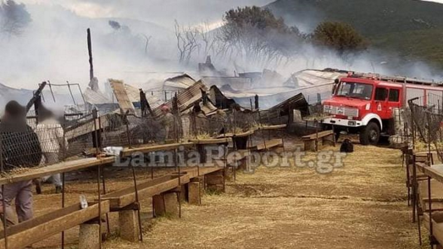 Φθιώτιδα: Ζωντανά κάηκαν δεκάδες ζώα από φωτιά σε στάβλο
