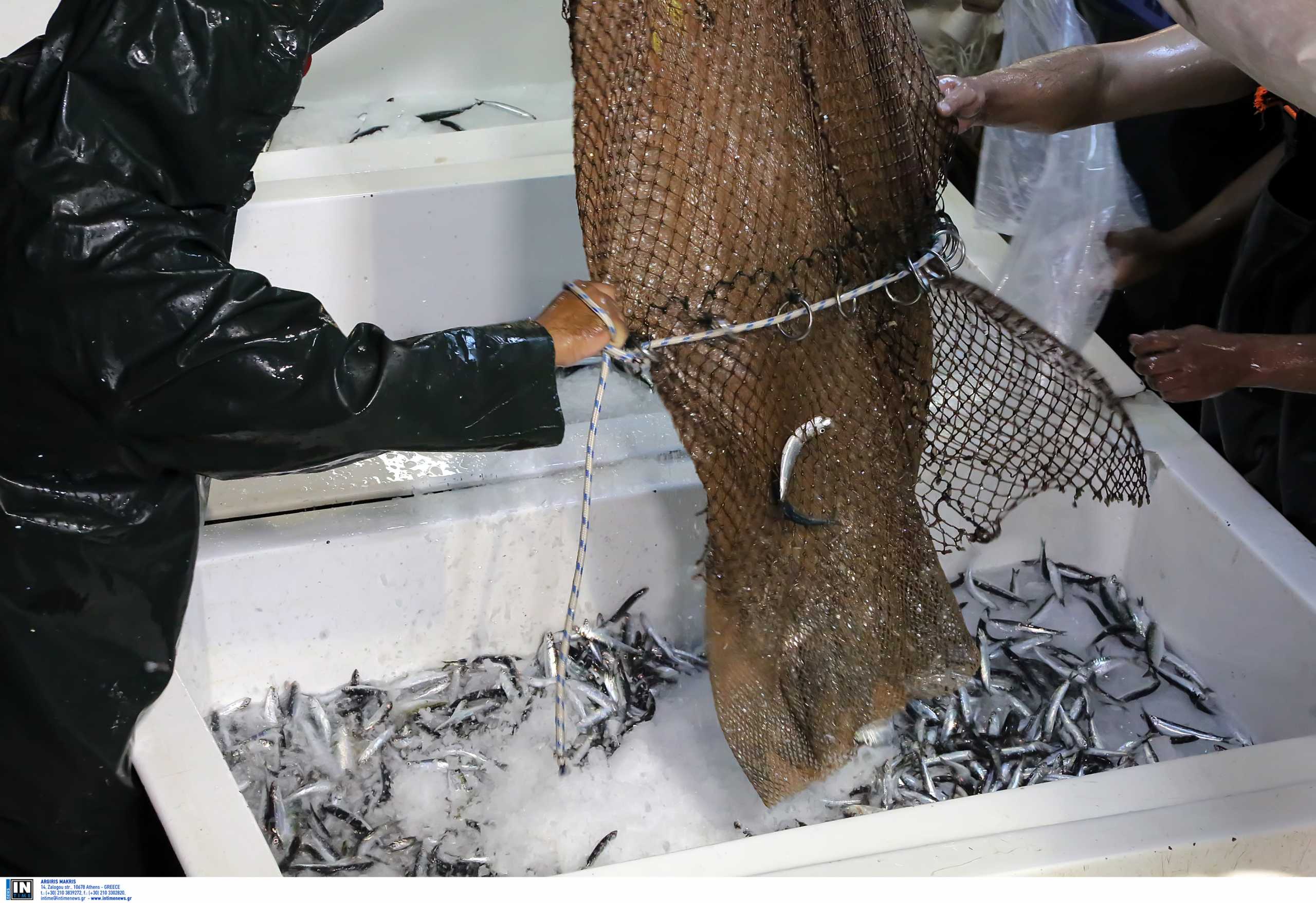 Αλεξανδρούπολη: Απαγορεύεται το ψάρεμα μέχρι τις 30 Μαΐου