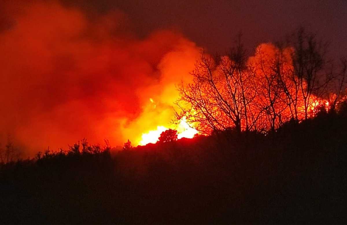 Ηλεία: Φωτιά σε δασική έκταση στο Λιβαδάκι