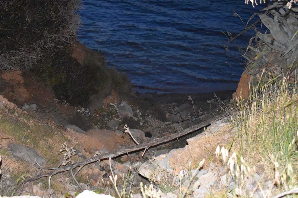 Σαλαμίνα: Νέες εικόνες για το τροχαίο σοκ με μητέρα και δύο παιδιά να πέφτουν σε γκρεμό από αυτό το σημείο