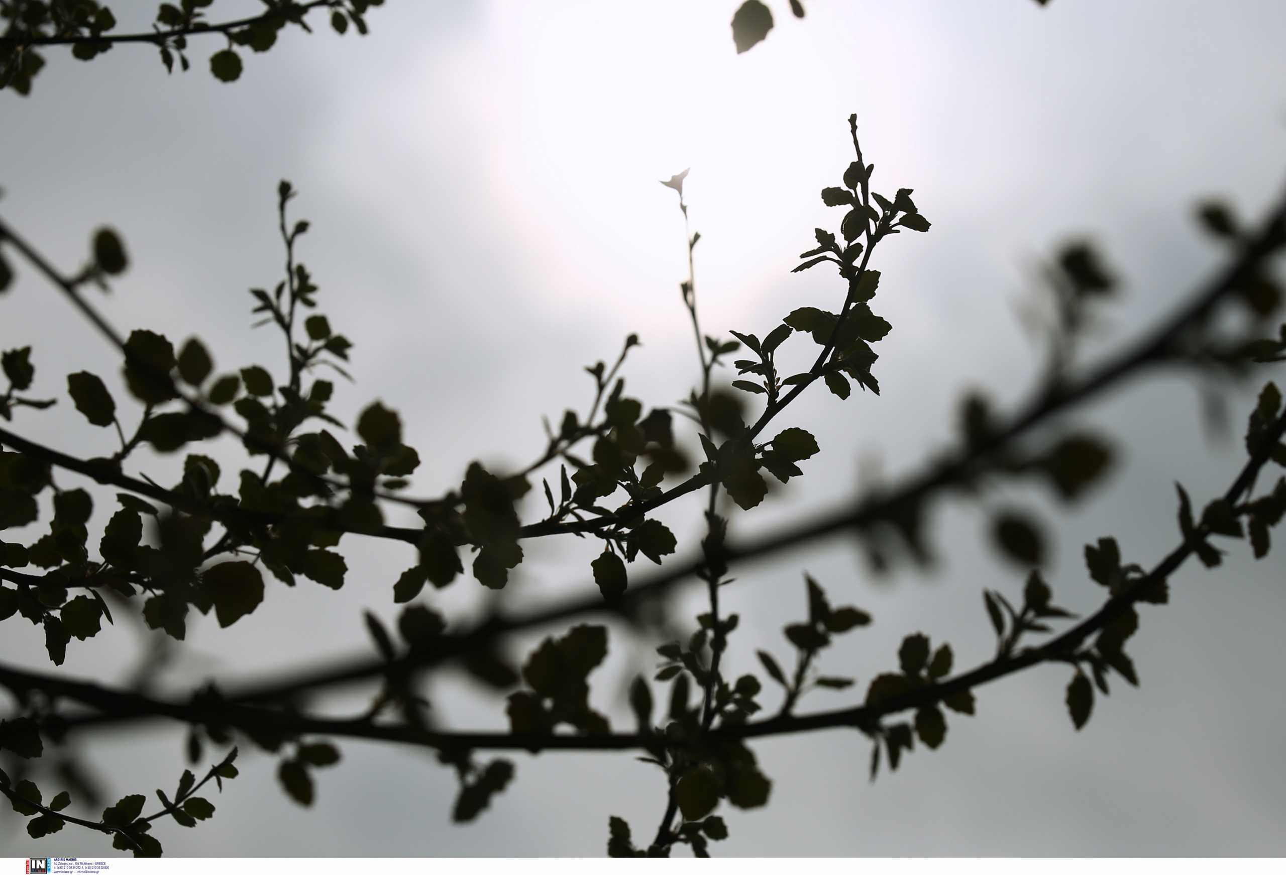 Καιρός – Meteo: Άστατος αναμένεται και την Τετάρτη (4/5) με τοπικές βροχές αλλά και μικρή άνοδο της θερμοκρασίας