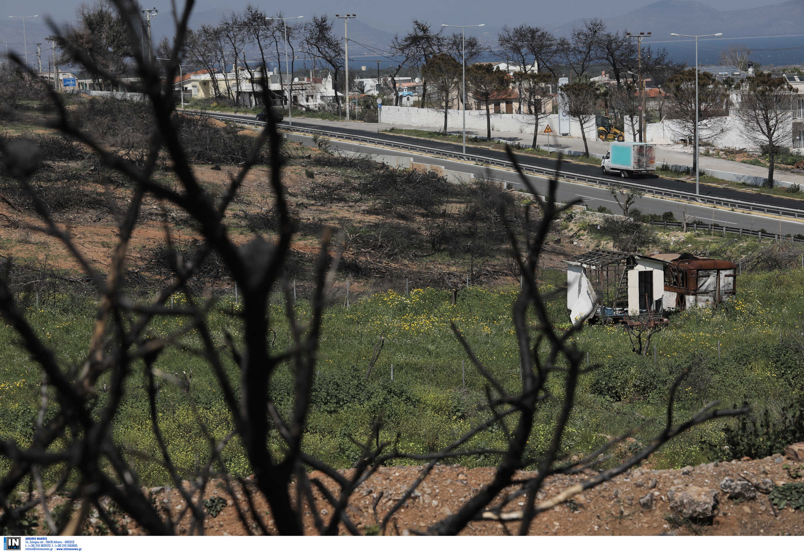 Μάτι: Άνοιξε η πλατφόρμα για τις δηλώσεις για ένταξη στο σχέδιο πόλης