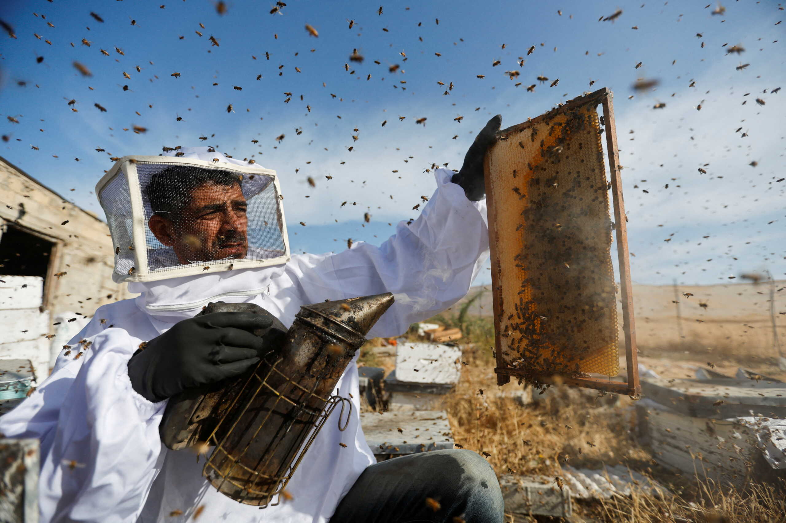 A Palestinian beekeeper uses smoke to calm bees in the process of collecting honey at a farm in the central Gaza Strip May 11, 2022. REUTERS