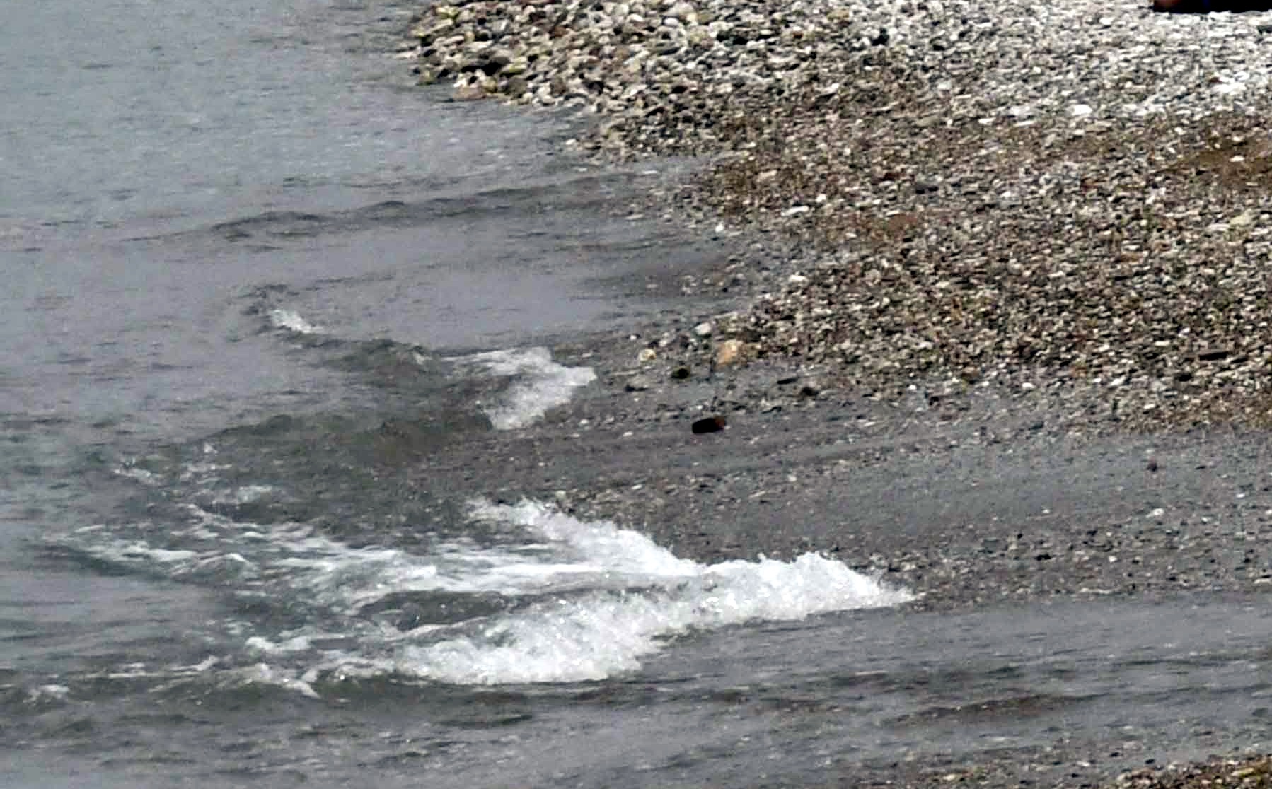 Κιτρίνισε η θάλασσα στην Πάτρα – Πώς εξηγείται το φαινόμενο που προκαλεί ανησυχία στον κόσμο