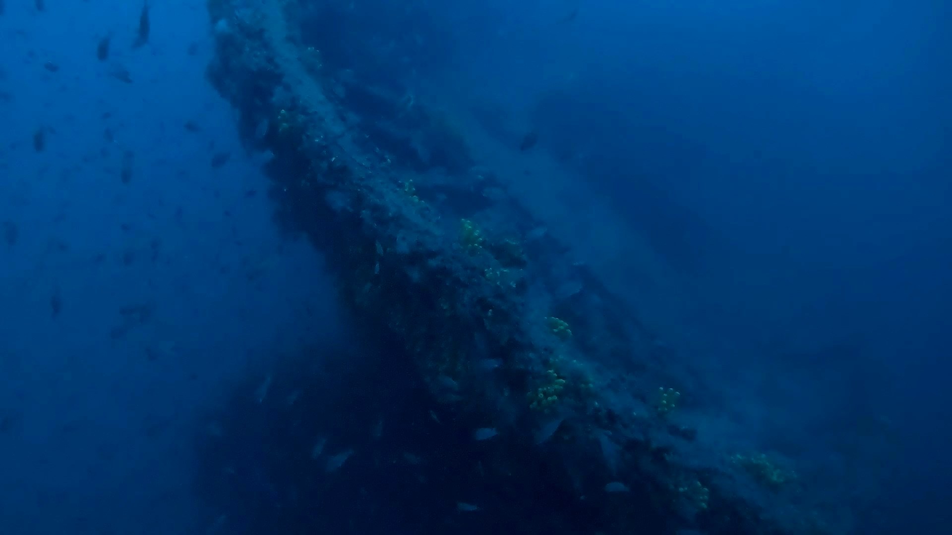 Βρέθηκε πλοίο που χάθηκε πριν 63 χρόνια! Η ιστορία και οι εντυπωσιακές εικόνες του «Τρεις Ιεράρχαι»