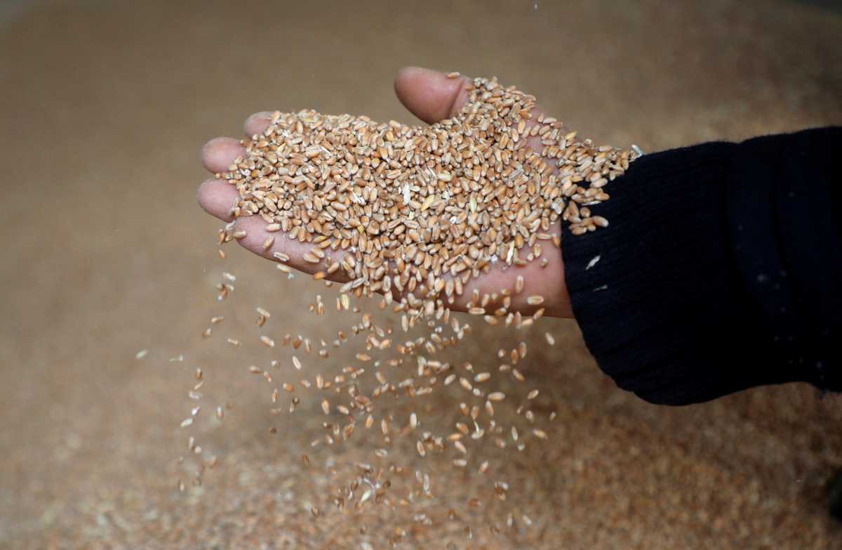 Ακάρ σε Σοϊγκού για τις εξαγωγές σιτηρών: «Να επιστρέψει η Ρωσία στη συμφωνία – Όλα λύνονται με διάλογο»