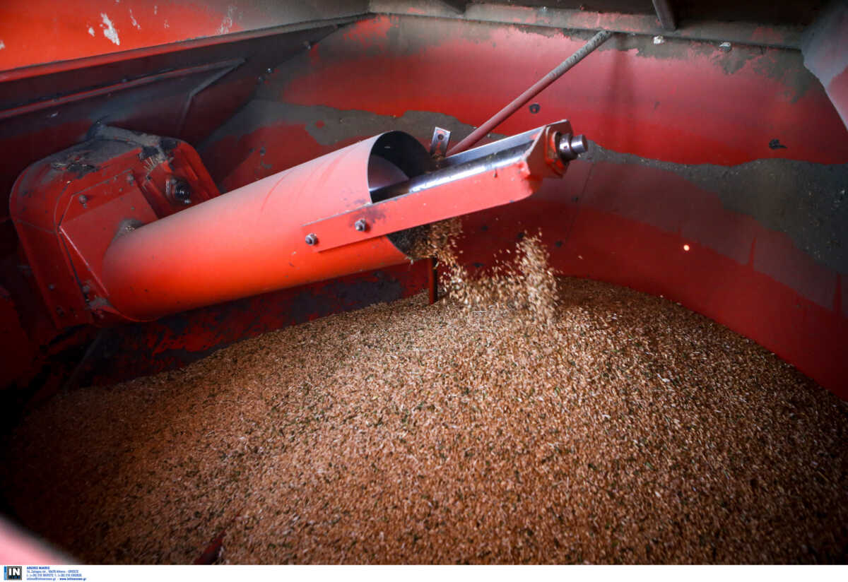 Ουκρανία: Ούτε 3 εκατ. τόνοι οι εξαγωγές σιτηρών το Νοέμβριο