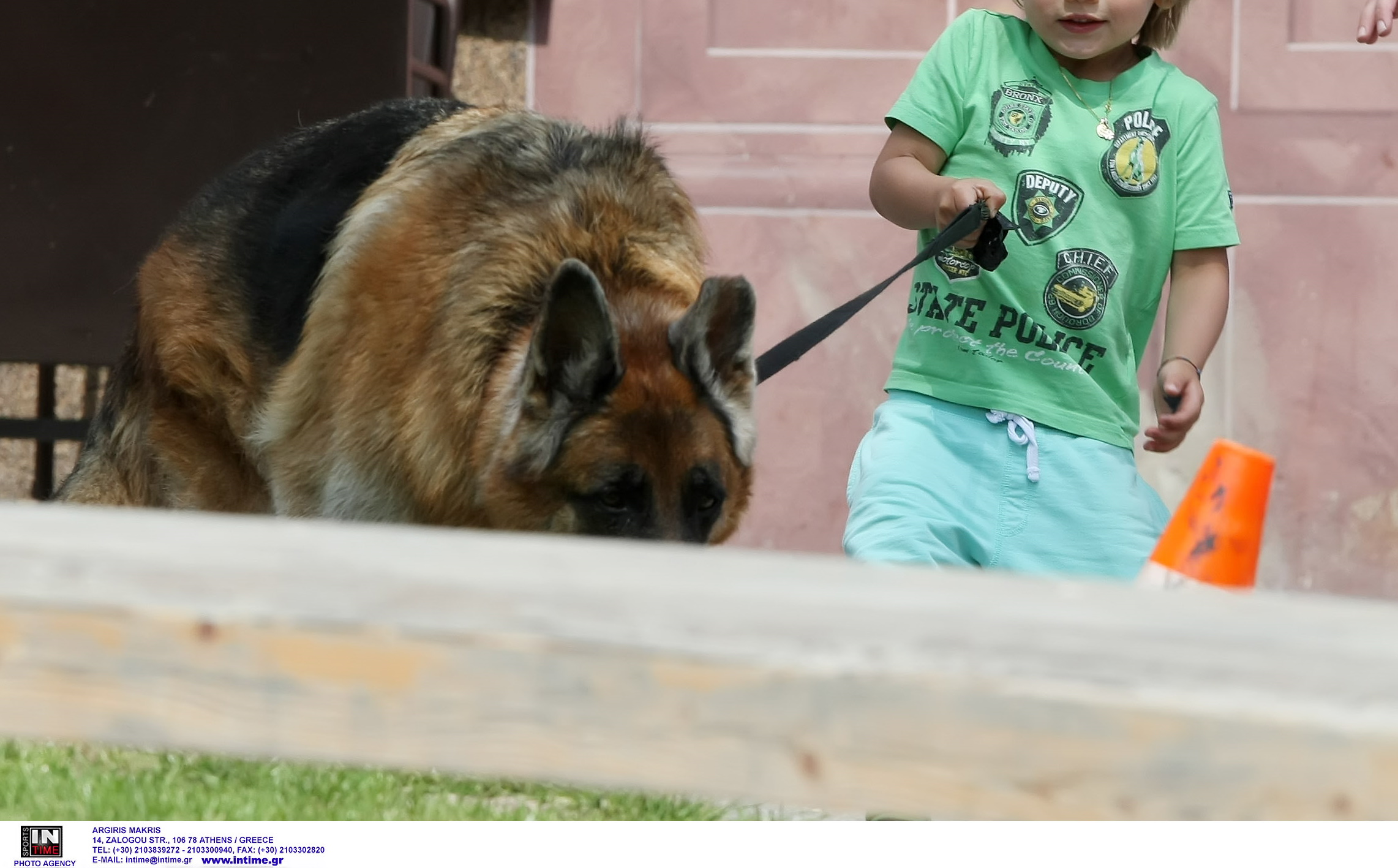 Ηπατίτιδα σε παιδιά: Ερευνάται αν η αύξηση στα κρούσματα συνδέεται με τους σκύλους