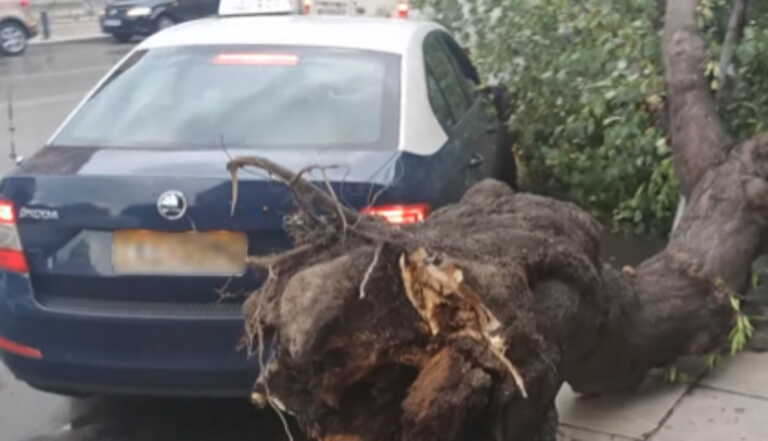 Θεσσαλονίκη: Μόλις μπήκαν σε ταξί έπεσε πάνω του δέντρο - Ξεριζώθηκε από ισχυρούς ανέμους