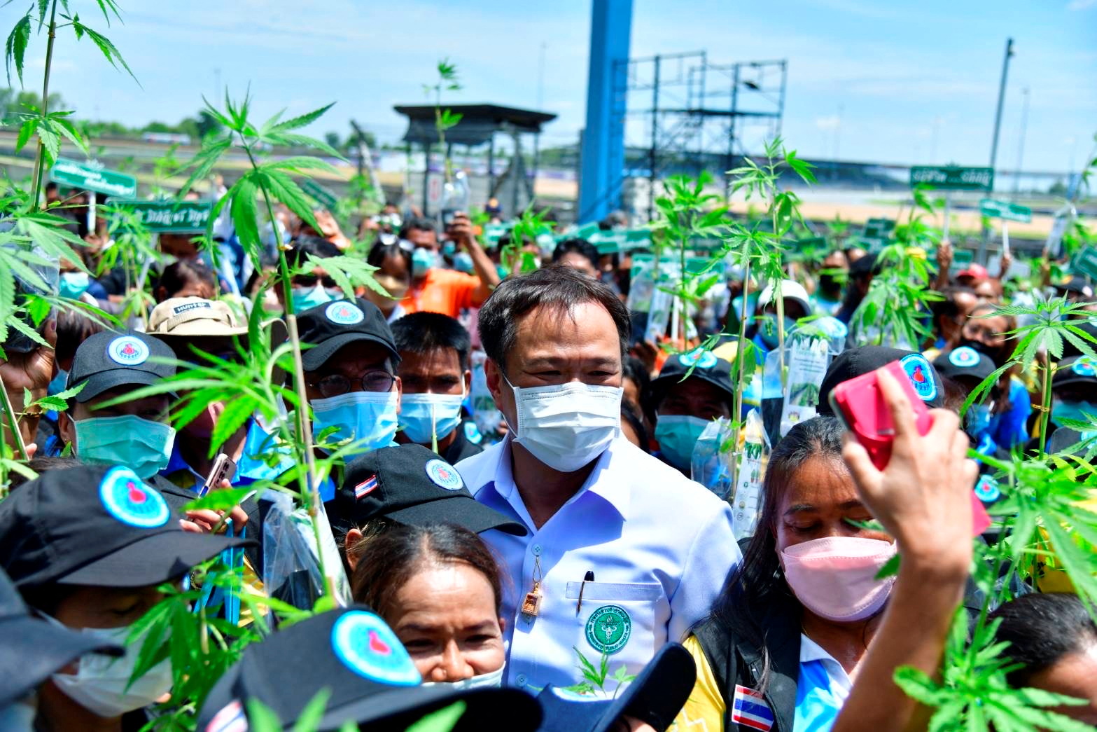 Public Health Minister Anutin Charnvirakul attends a campaign to give away 1 million free cannabis plants in Buriram Province, Thailand, June 10, 2022. Thailand Public Health Ministry