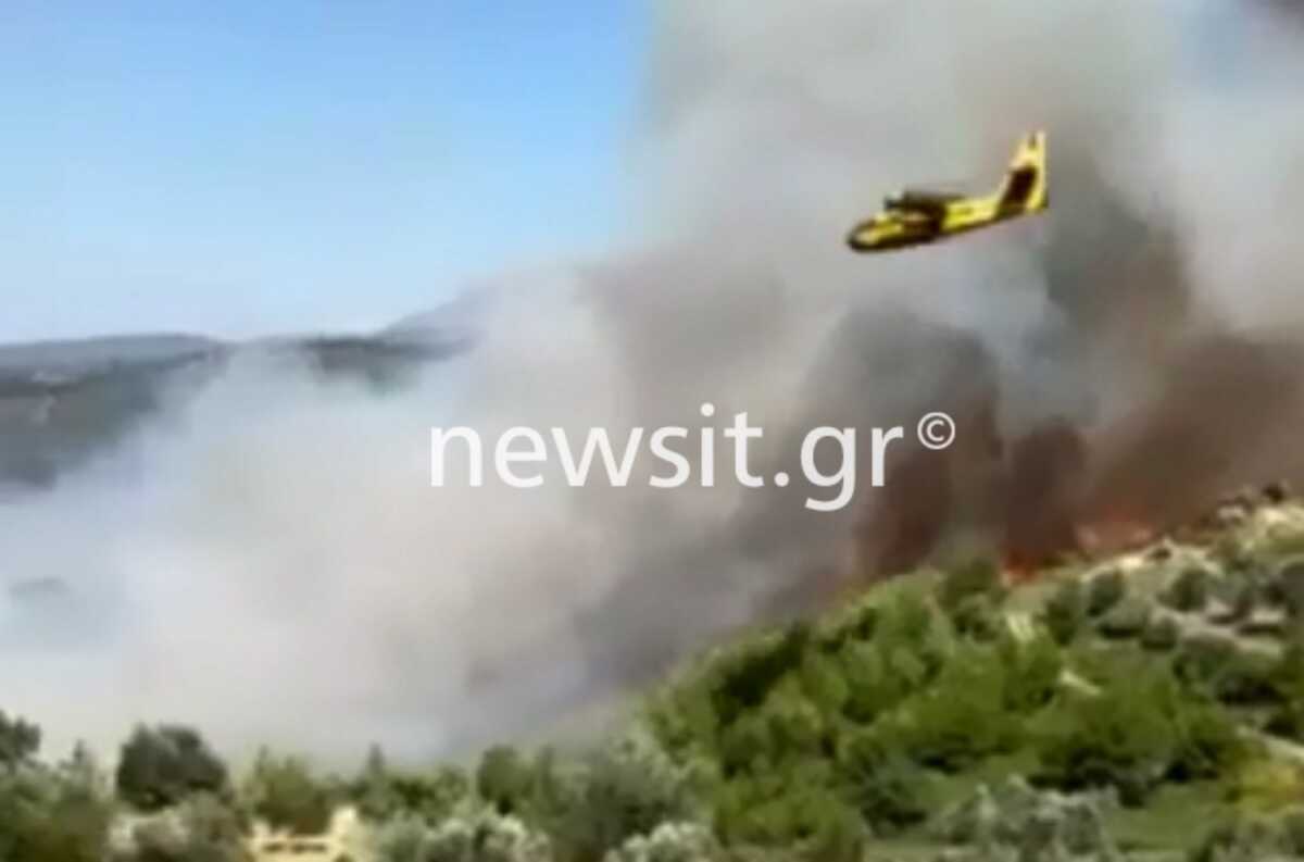 Εύβοια: Η φωτιά έχει φτάσει στην είσοδο του χωριού και καίει πεύκα