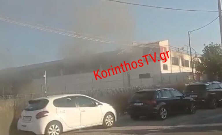 Φωτιά σε εργοστάσιο στην Μαγούλα