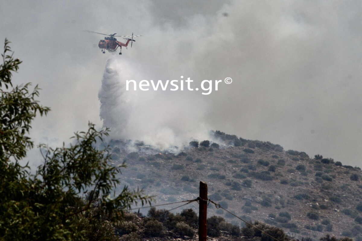 Φωτιά στην Γλυφάδα: Ξεκίνησε από σταθμό του ΔΕΔΔΗΕ λέει ο δήμαρχος – Εικόνες από το σημείο