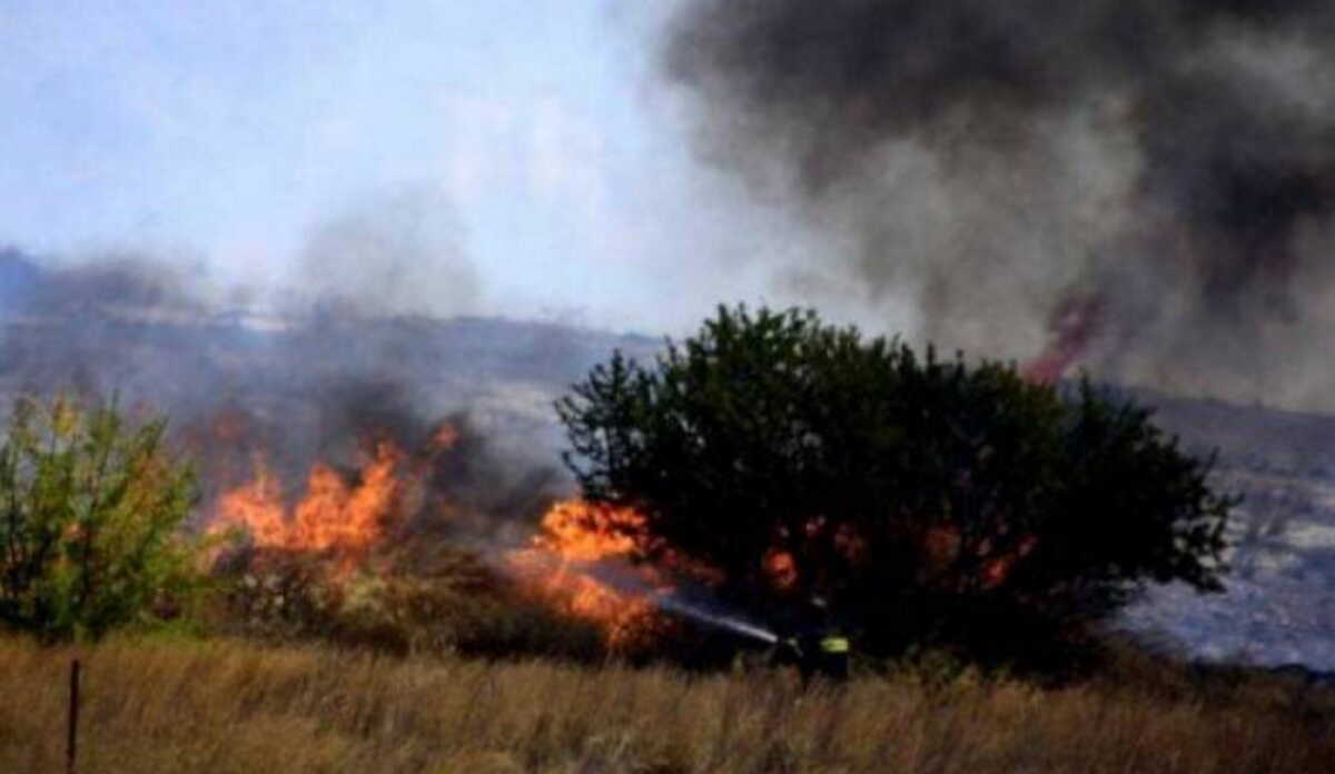 Φωτιά στη Μεσσηνία – Συναγερμός στην πυροσβεστική