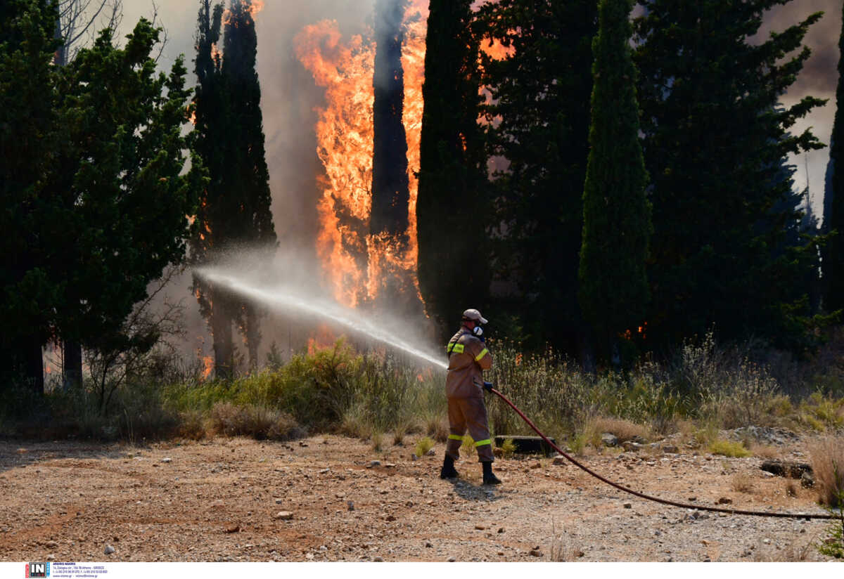 Φωτιά στο Ηράκλειο – Δεκάδες πυροσβέστες παλεύουν με φλόγες και μποφόρ