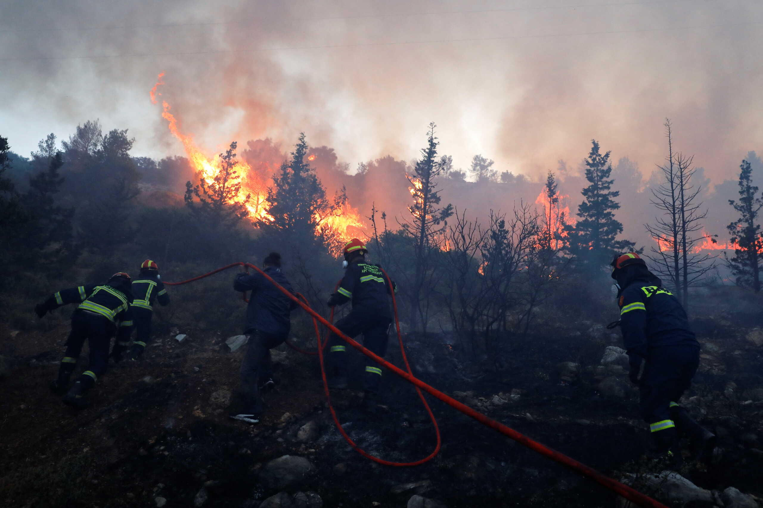 Φωτιές: Μαίνεται το πύρινο μέτωπο στη Δαδιά – «Καθαρίστε τα οικόπεδα», η έκκληση της Πυροσβεστικής