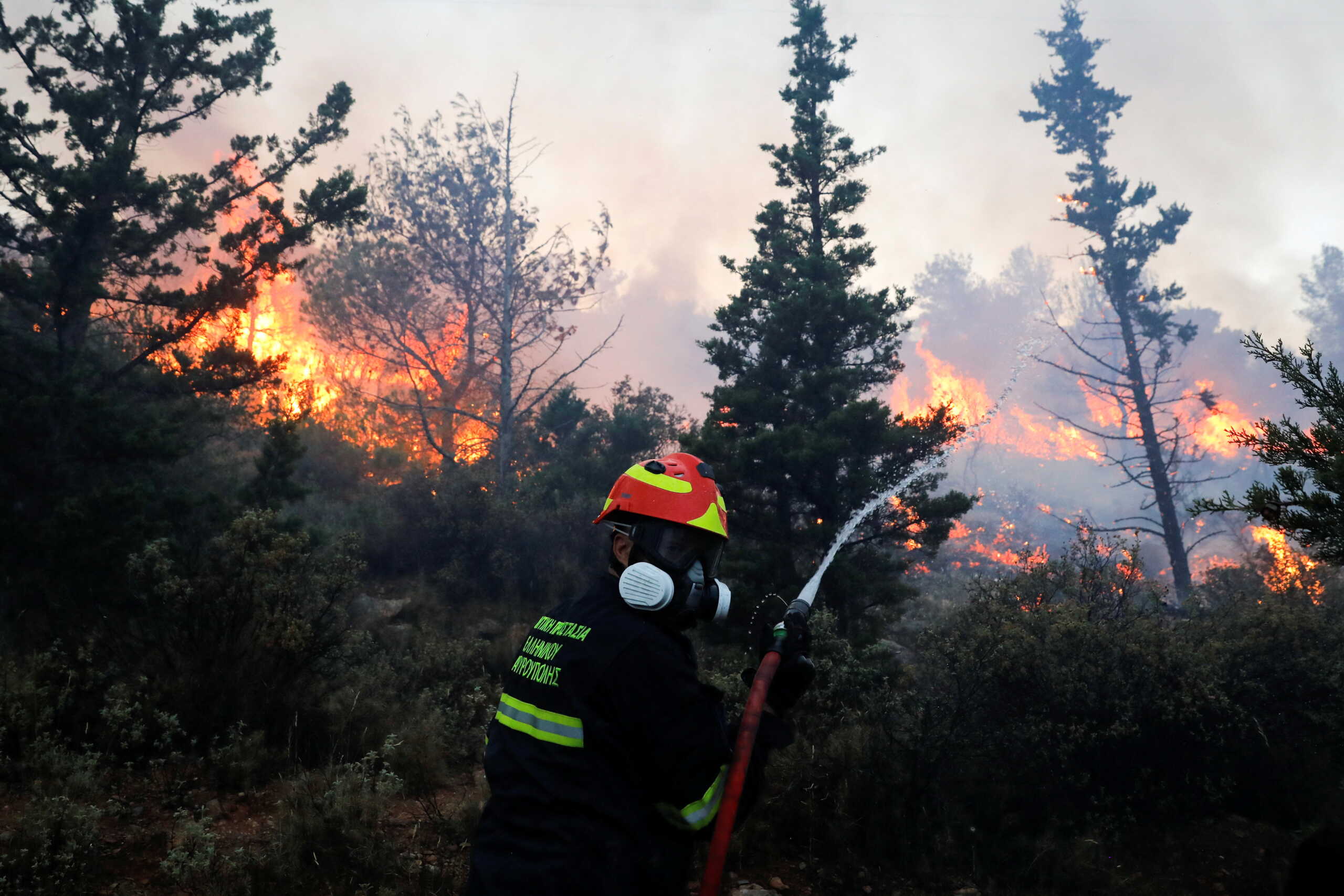 Μεσσηνία: Φωτιά στην Χρυσοκελλαριά