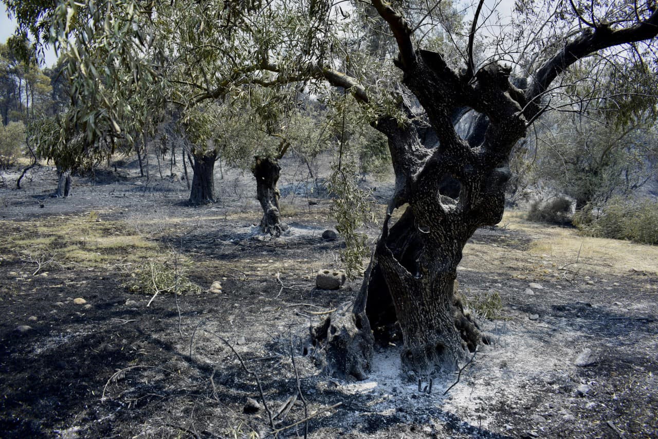 Κόρινθος: Αυτές οι τοπικές κοινότητες θα αποζημιωθούν για τις φωτιές του 2021