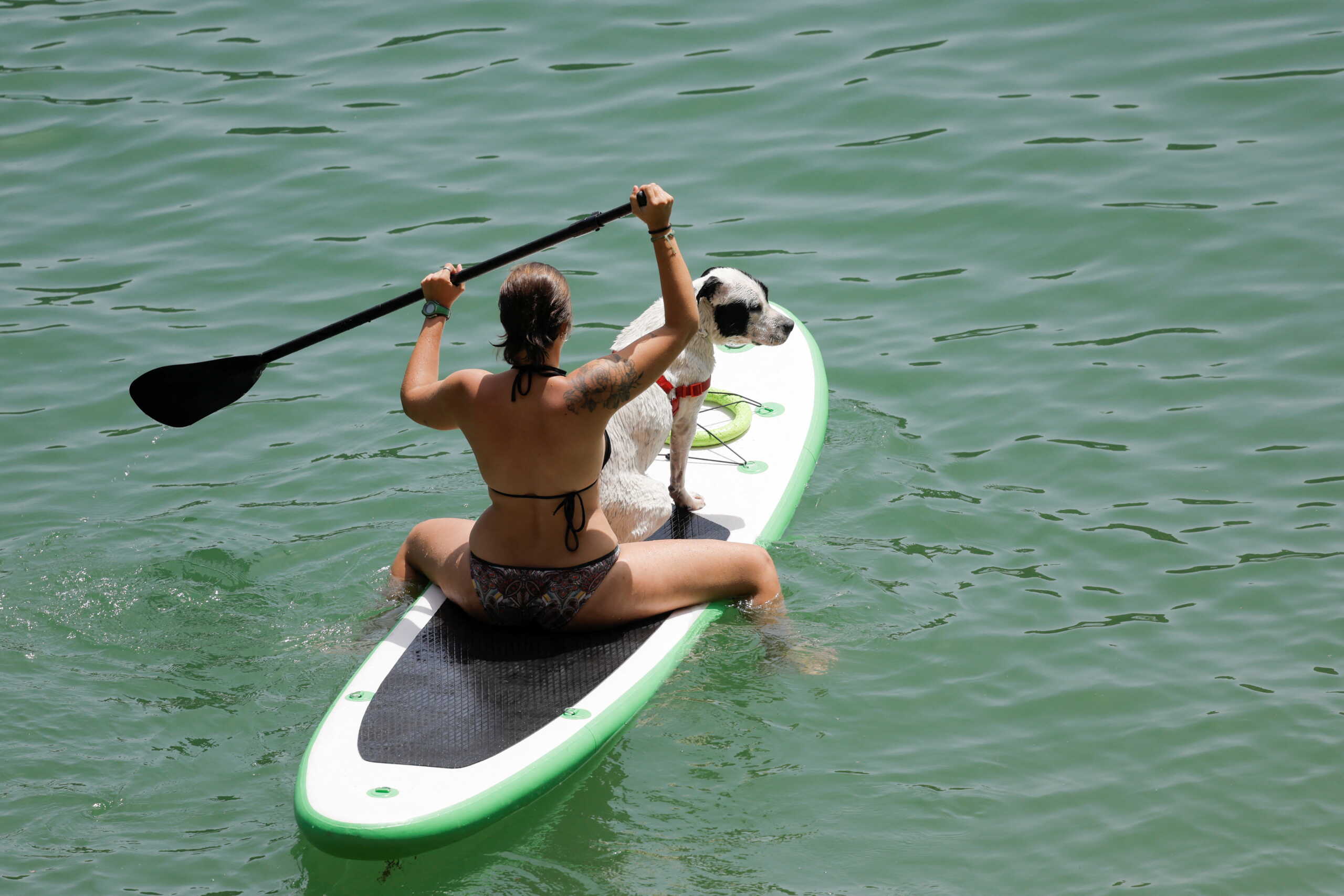 A woman cools off with her dog at Conde del Guadalhorce reservoir, during the first heatwave of the year in El Chorro, near Ardales, Spain, June 13, 2022. REUTERS
