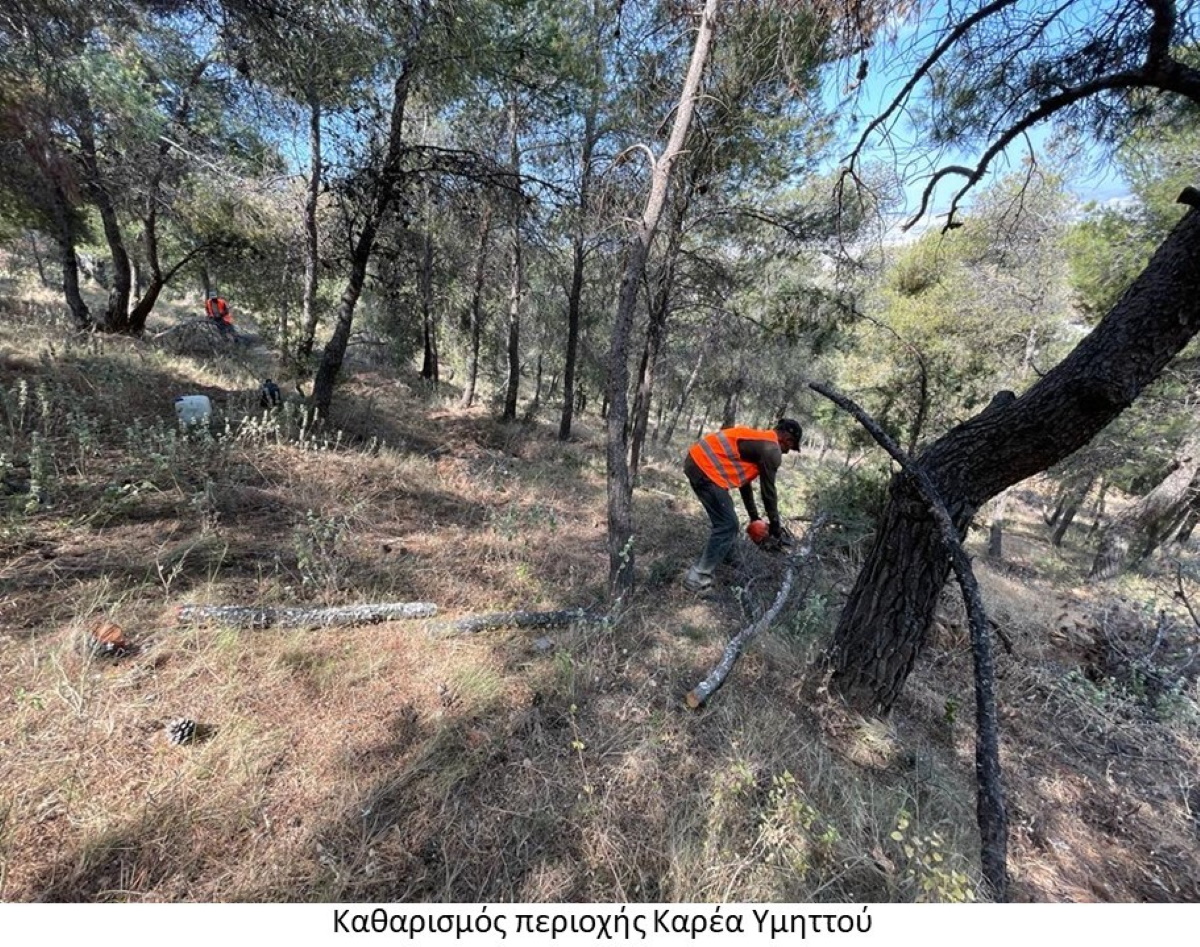 Σε εξέλιξη εργασίες καθαρισμού 60 δασικών περιοχών σε όλη τη χώρα