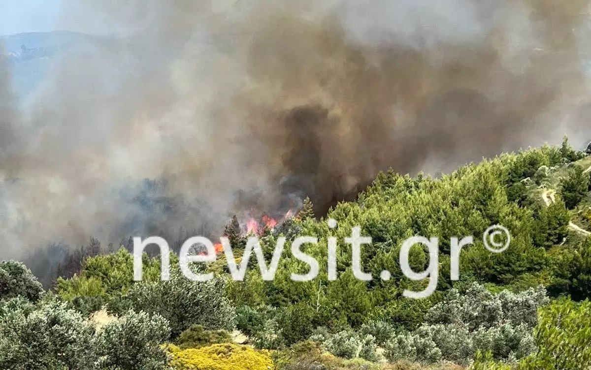 Φωτιά στην Εύβοια: Οι πυροσβέστες «έπιασαν» τις φλόγες στο δυτικό μέτωπο – Τα νεότερα στοιχεία