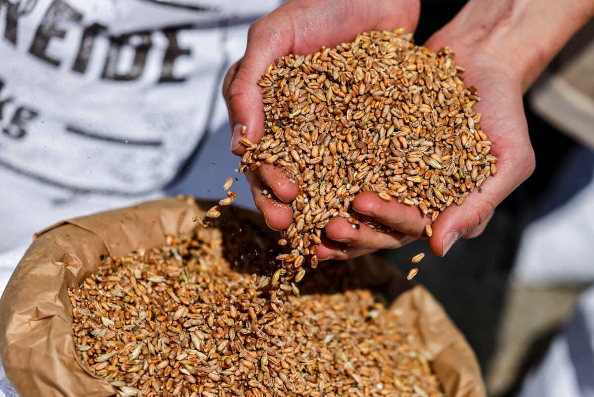Ουκρανία: «Εντατικές διαπραγματεύσεις» από ΟΗΕ για παράταση της συμφωνίας για τις εξαγωγές σιτηρών