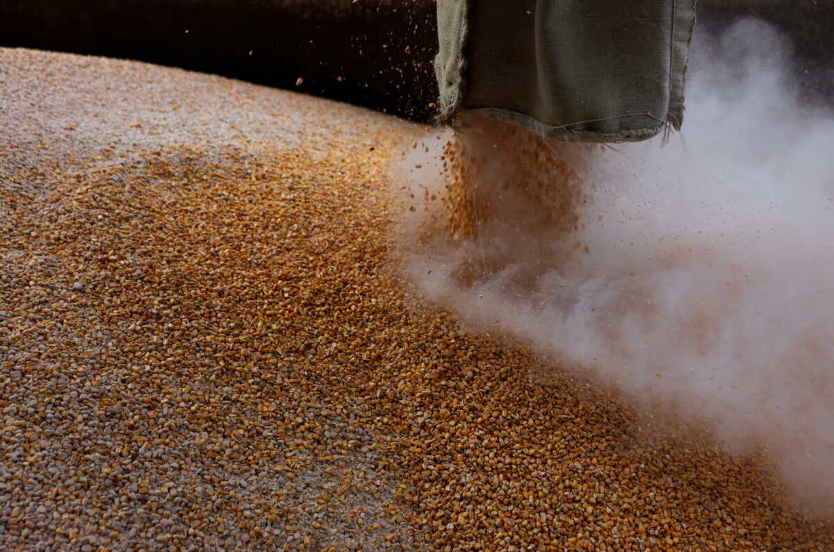 Η ΕΕ εξετάζει πρόταση υποχώρησης στις κυρώσεις κατά της Ρωσίας για να τηρηθεί η συμφωνία για τα σιτηρά