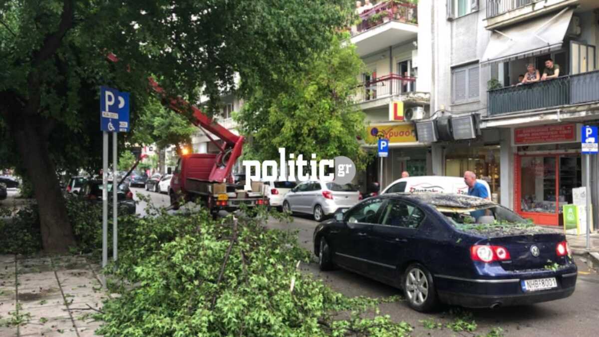 Θεσσαλονίκη: Άλλαξε το σκηνικό του καιρού – Πτώση δέντρων από τους ισχυρούς ανέμους