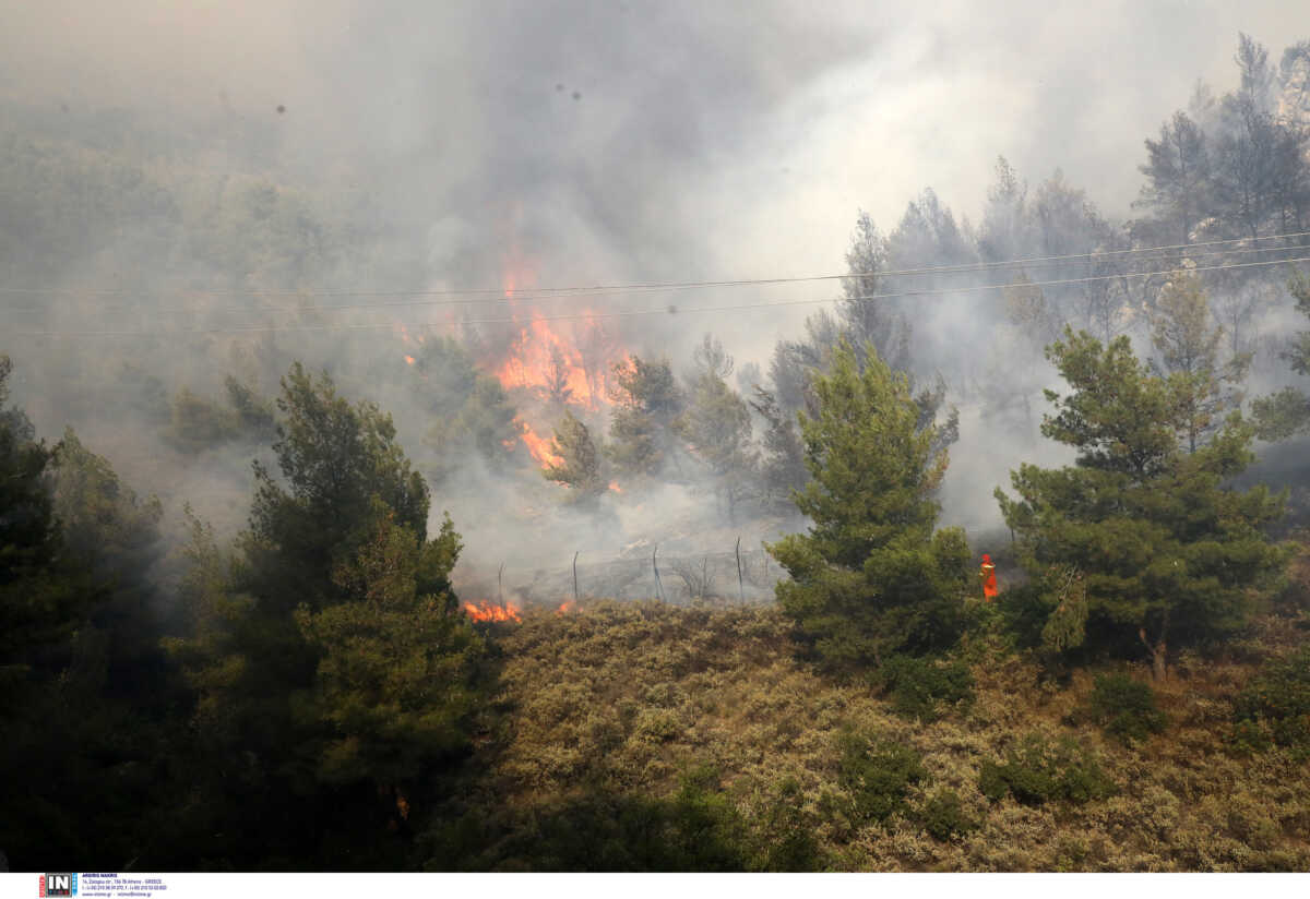Ρόδος: Φωτιά στην περιοχή Πλατάνια – Ισχυρές δυνάμεις της πυροσβεστικής στο σημείο