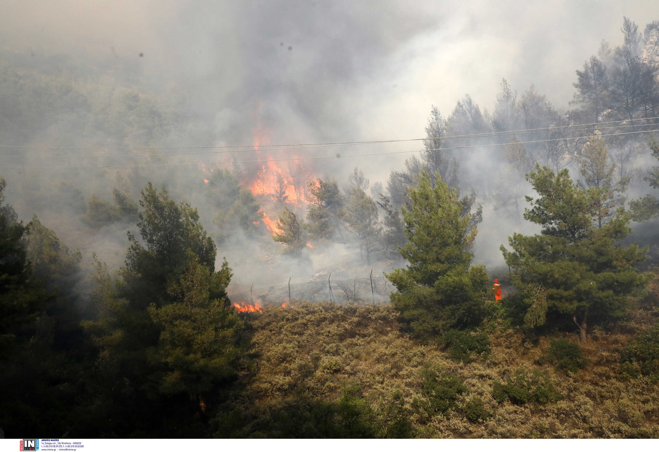 Φωτιά στην Κασσάνδρα Χαλκιδικής – Συναγερμός στην πυροσβεστική